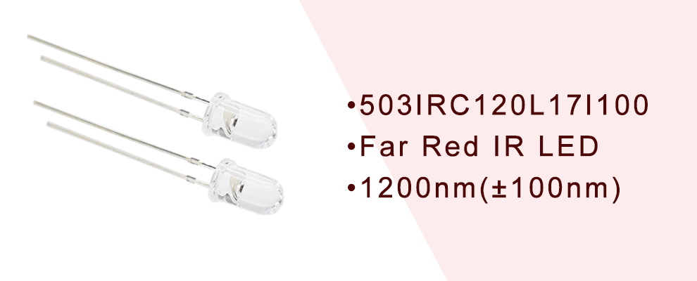 503IRC120L17I100 Far Red Infrared LED 1200nm(±100nm) 5mm LED 1250nm LED 1150nm LED 5mm Clear lens IR LED