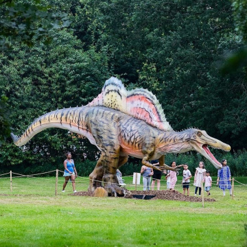 Life-Size Animatronic Spinosaurus for Park Displayss