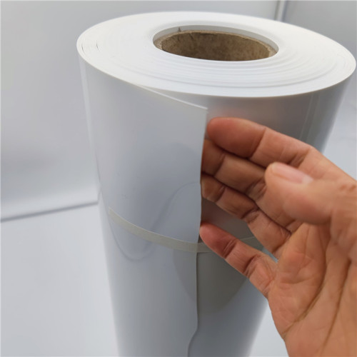 Polypropylene Plastic PP Sheet Roll for Packaging Containers