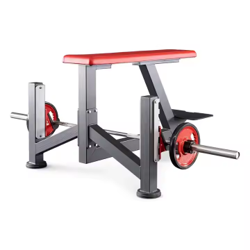 Ang Seal Row Bench Commercial Gym Equipment