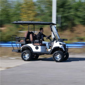Best Cheap Chinese 2, 4, and 6 Seater Lithium Battery Electric Golf Carts