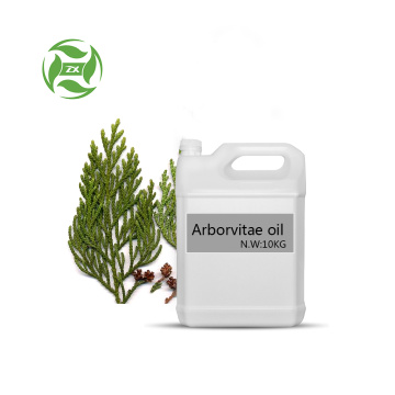 Factory Supply 100% Pure Arborvitae Essential Oil Price