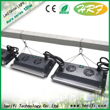 CREE Chip LED Grow Lighting