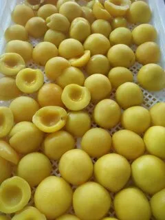 frozen foods frozen fruits frozen peach halves/diced