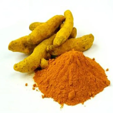 Plant Extract powder YXchuang Water Soluble Curcumin Organic Turmeric Extract 10% Factory