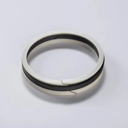 PEEK Oil Seal Peek Sealing Rings