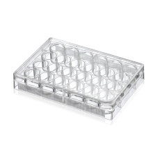 24-well Flat Bottom Cell Culture Plate