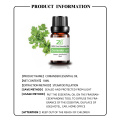 Top Grade 100% Pure Skincare Aromatherapy Coriander Oil