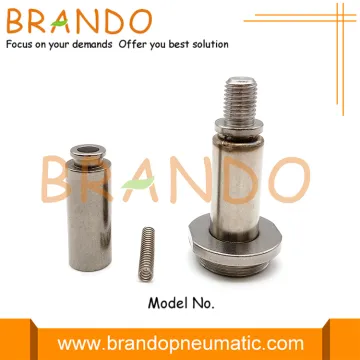 2W040-10 2W160-15 2W250-25 Solenoid Valve Armature Assembly Plunger