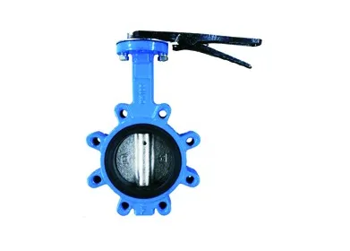 DN1000 Cast Iron Lug Butterfly Valve