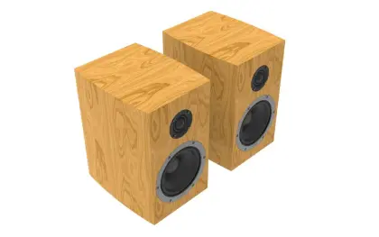 Hifi speaker wooden passive Bookshelf Speaker