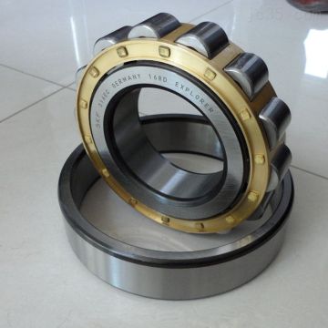Double Row Cylindrical Roller Bearing (NN3052K/W33)