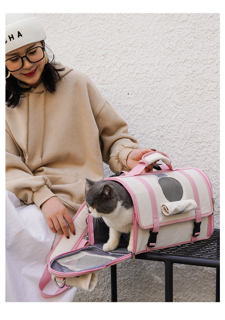 Pet Travel Carrier