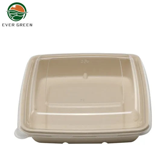 Eco Friendly Biodegradable Salad Packaging Food Container