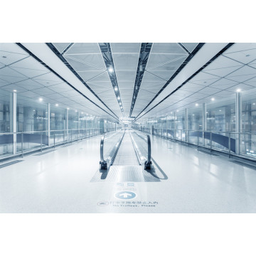 Outdoor Heavy Duty Travelator Automatic Moving Walkway