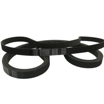 Ribbed Belt Poly V Fan Belt for Automotive