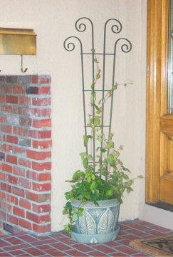 20in W x 60in H Wave Garden Trellis