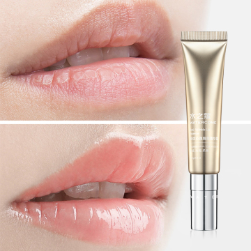 Wholesale Moist Lip Cream - Custom Hydrating Lip Essence for Lip Care