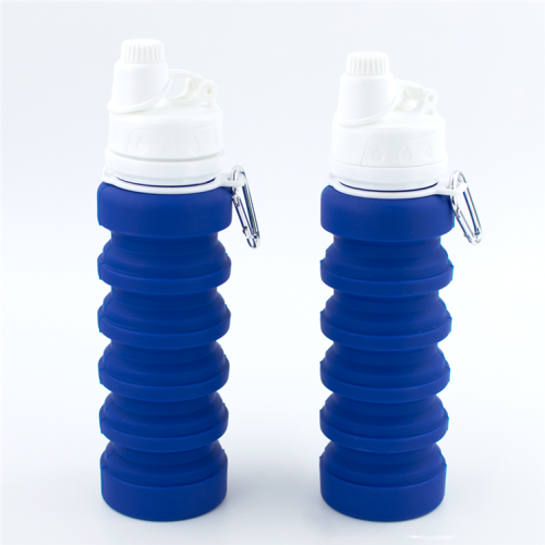 Eco-friendly Silicone Outdoor Sport Collapsible Water Bottle