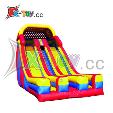 New Outdoor Inflatable Playground Slide (CH-IS3010)