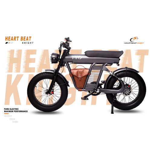 ZM21 Basic Electric Fat Bike