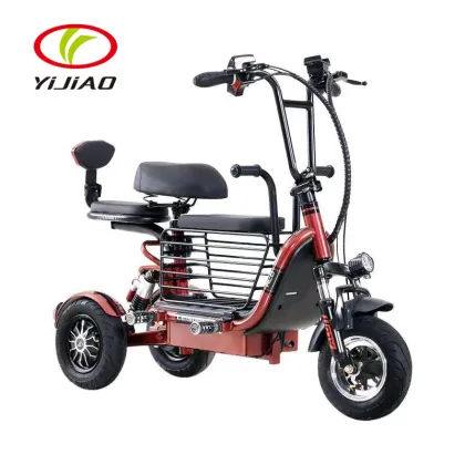 EEC/COC Certified Electric Handicapped Tricycles: 500W Double Seat 3-Wheel Adult Electric Scooters