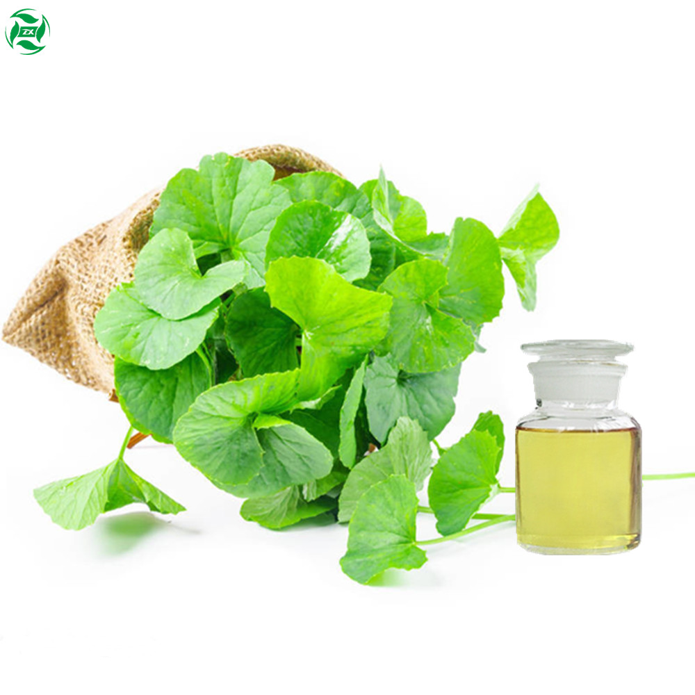 Supply Raw Materials Skincare Oils Centella Asiatica Oil