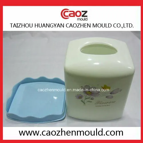Plastic Injection Tissue Box Mould in China