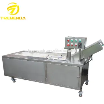professional ozone fruit and vegetable washer with excellent service