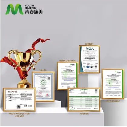 Siberian Ginseng Extract for Immune Support