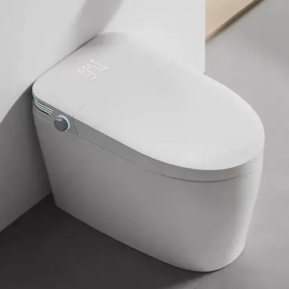 Modern Automatic Smart Toilet Sanitary Ware