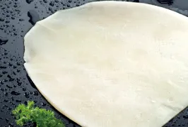Frozen Giant Squid Flower Squid Fillet