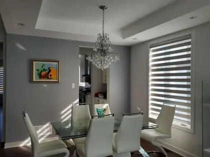 Zebra Blinds Shade Dual Roller Blinds Fabrics