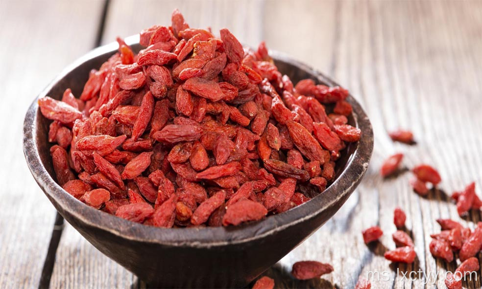 goji berry adalah baik untuk manusia