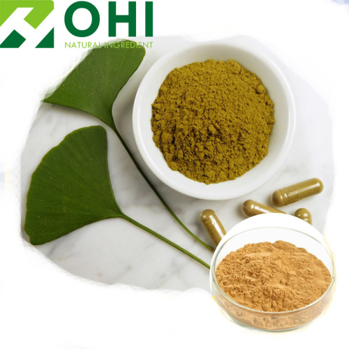 Ginkgo Leaf Extract poeder