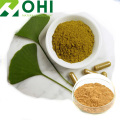 Serbuk Ginkgo Leaf Extract