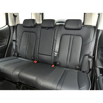 Hot sells Tank 300 Dark Grey 4WD SUV