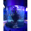 Grote acrylcilindervissentank in acrylaquarium