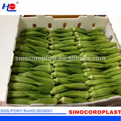 Plastic Okra Box