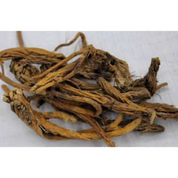 Figwort Root Extract Radix Scrophulariae Extract Used for Dispelling Wind and Eliminating Dampness