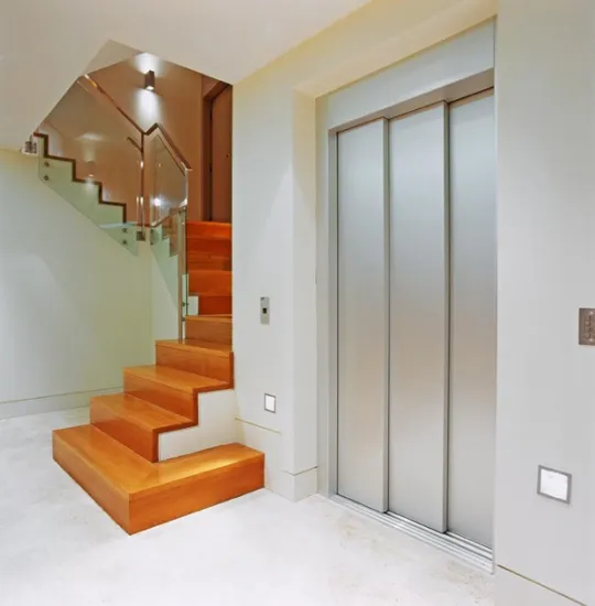 2022 New Design SRH Home Lift Elevator