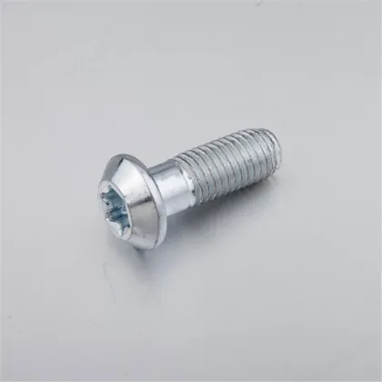 DIN Standard S12*30 Self-Tapping Screw with Trox Socket