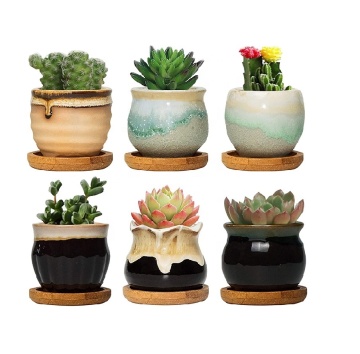 Succulent Pots - Unique Planters for Indoor/Outdoor Decor