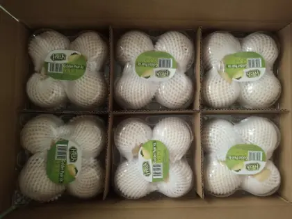 Fresh Crown pear/Chinese pear/ Asian pear/ Crystal Pear