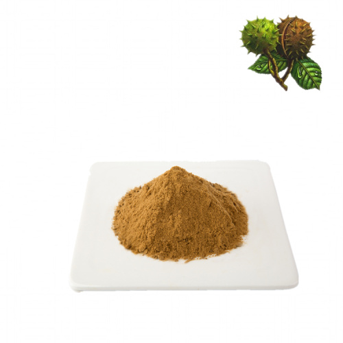 Anti-Cancer Horse chestnut extract UV 40% powder Manufactory