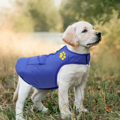 New style customized high quality wholesale pet clothing