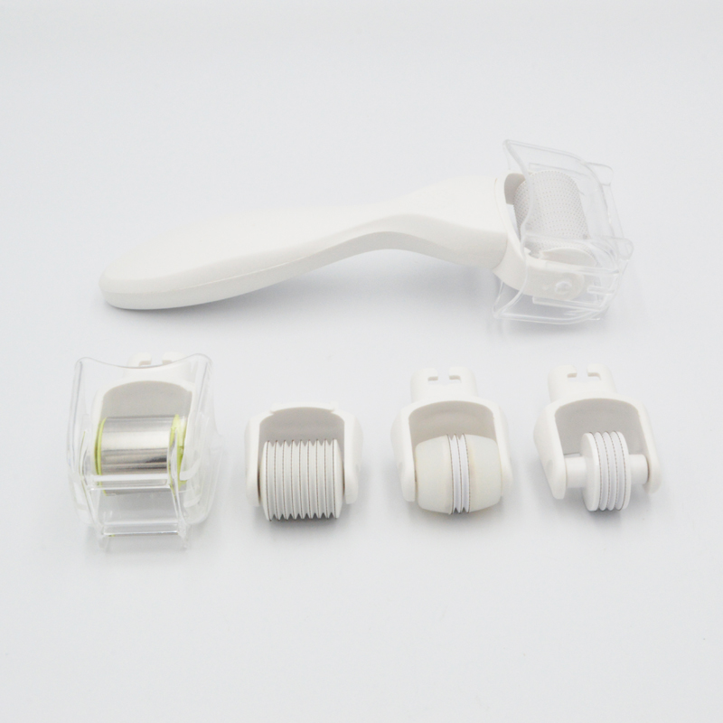 Face Body 5 i 1 Derma Roller Kit