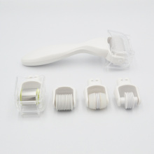 MNS 1.0 mm 5 en 1 kit de dermaroller