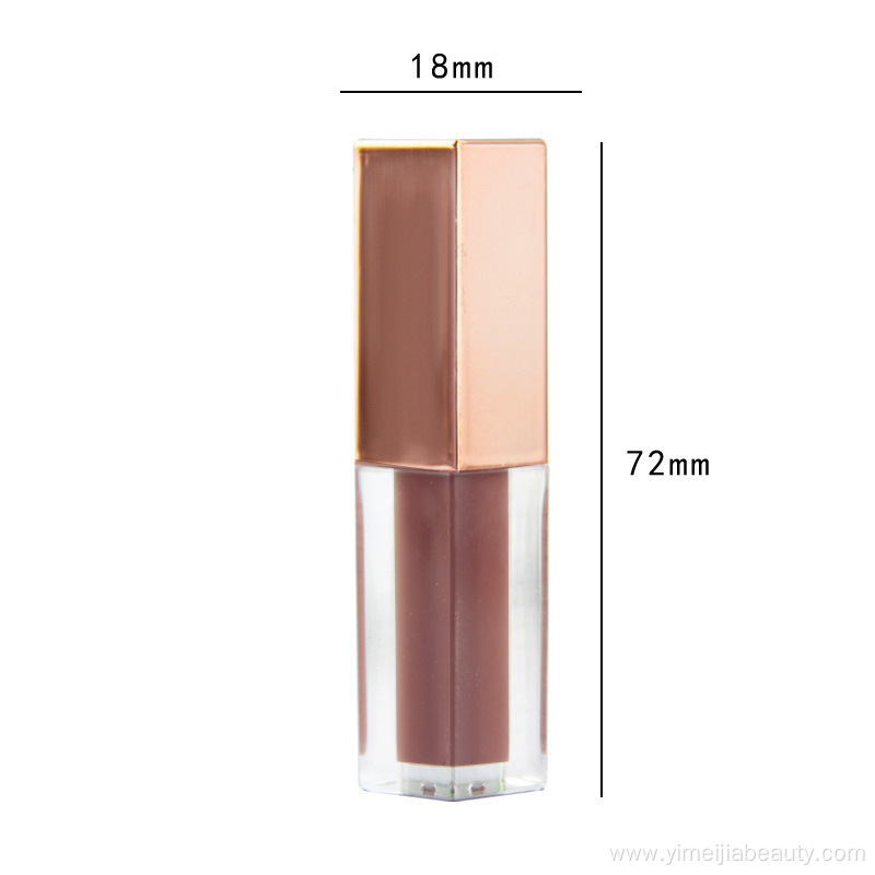 custom private label make up lip gloss