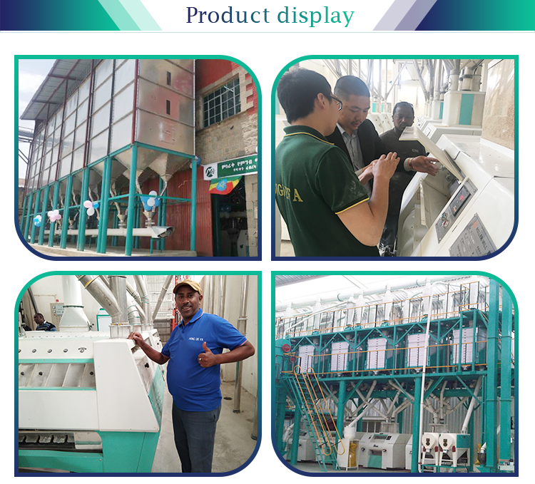 Hongdefa Automatic 200t/24h wheat flour mill machine complete line with installation